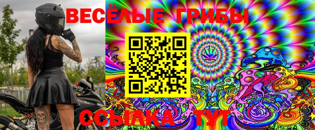 Галлюциногенные грибы Psilocybe Мариинск