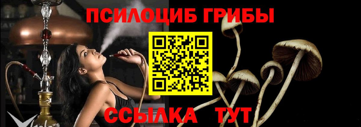 Галлюциногенные грибы прущие грибы  Вход с VPN  где купить   Мариинск 